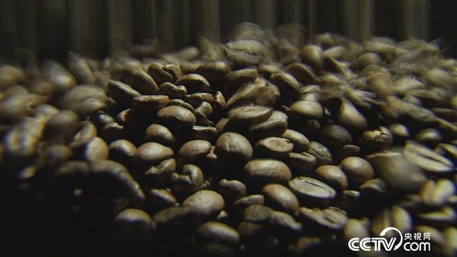 牛仔和傻子的亿万财富迷局