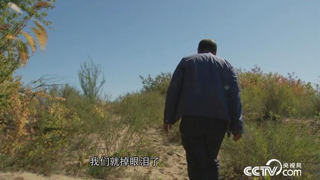 牛仔和傻子的亿万财富迷局