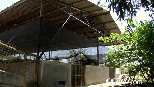 致富经：年卖千万 既怕又爱的财富(20170607)