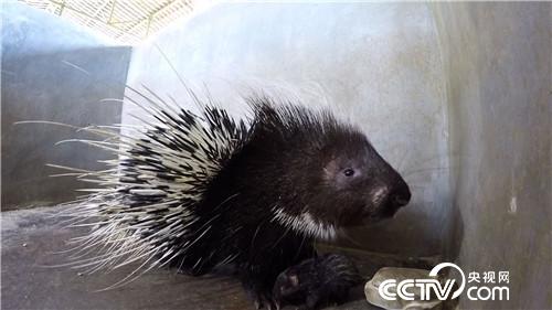 致富经：年卖千万 既怕又爱的财富(20170607)