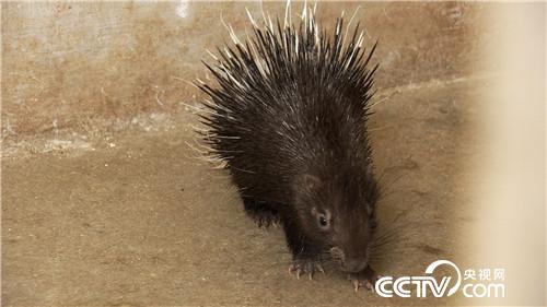 致富经：年卖千万 既怕又爱的财富(20170607)