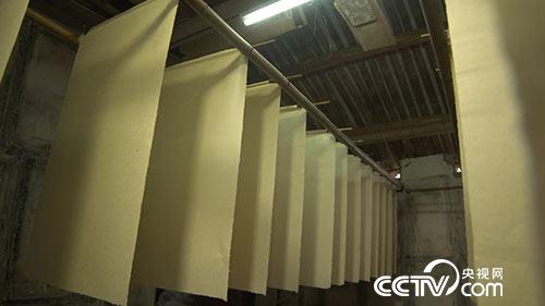 [绿色时空]为古籍续命的竟然是苦竹 6月11日