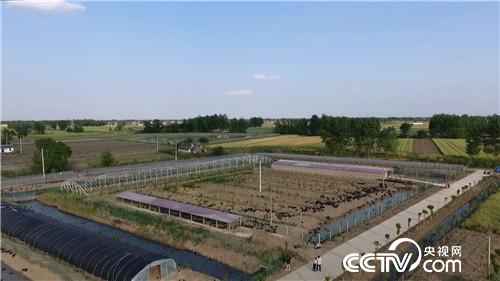 致富经：&ldquo;财富&rdquo;智斗假飞鸭(20170608)