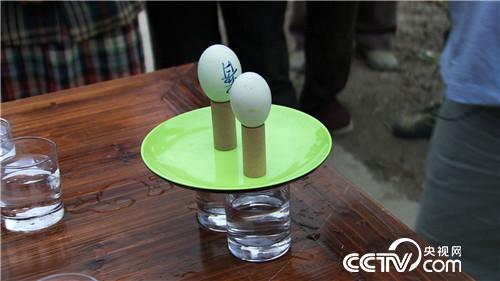 致富经：&ldquo;财富&rdquo;智斗假飞鸭(20170608)