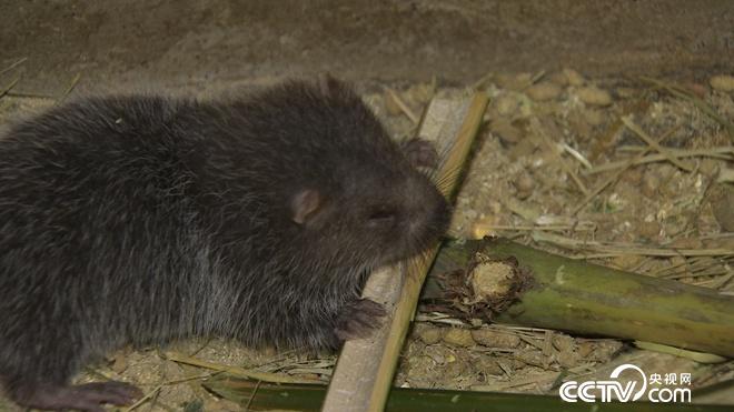 干啥啥赔 他凭啥赢得财富和爱情