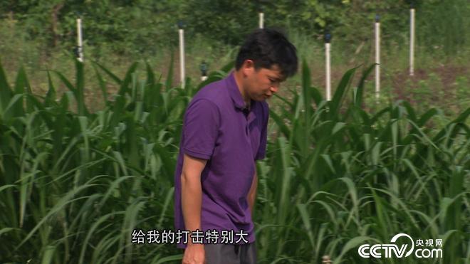 干啥啥赔 他凭啥赢得财富和爱情