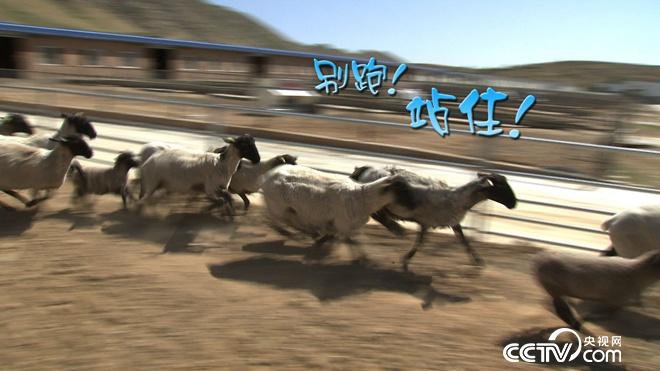 突然有了500万 我却发愁怎么花