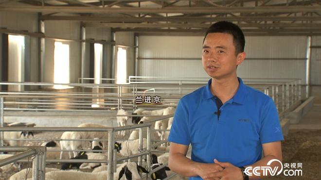 突然有了500万 我却发愁怎么花