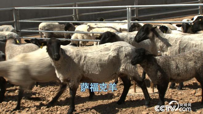 突然有了500万 我却发愁怎么花