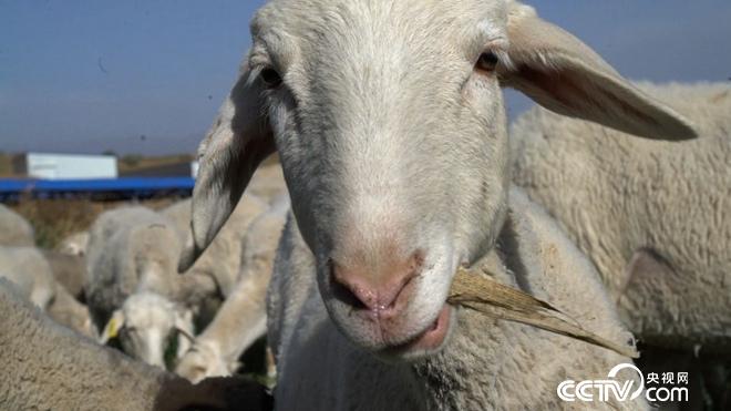 突然有了500万 我却发愁怎么花