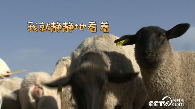 突然有了500万 我却发愁怎么花