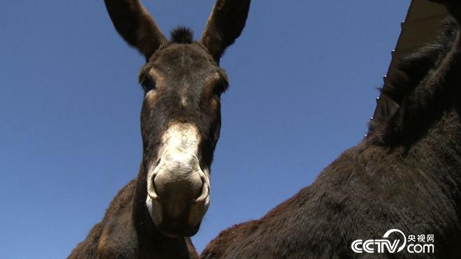 突然有了500万 我却发愁怎么花