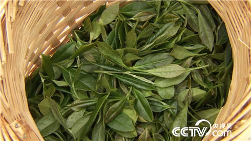 致富经：旗袍女人和她编织袋里的无价之宝(20170616)