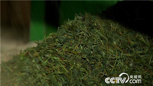 致富经：旗袍女人和她编织袋里的无价之宝(20170616)