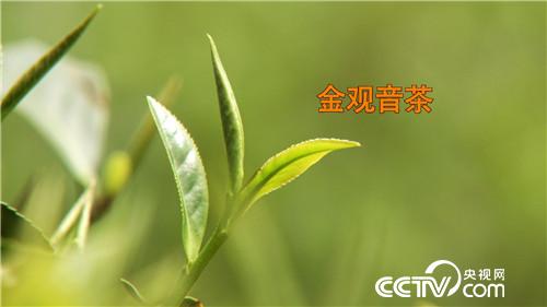 致富经：旗袍女人和她编织袋里的无价之宝(20170616)