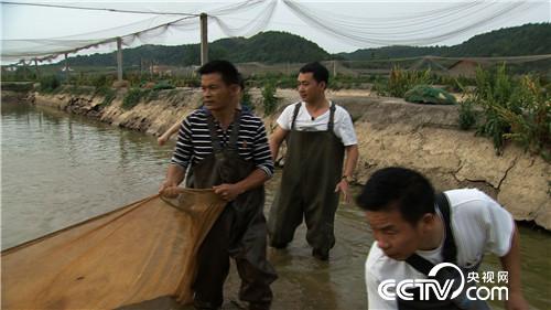 致富经：改个毛病 年入千万(20170619)