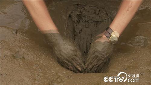 致富经：改个毛病 年入千万(20170619)