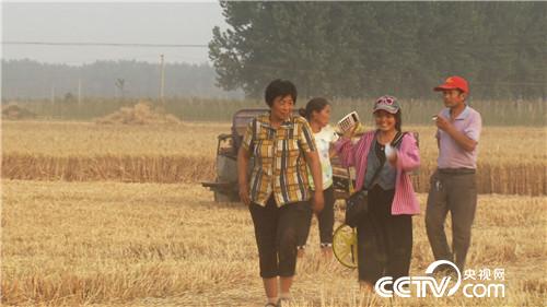 致富经：麦田霸王花（20170626）