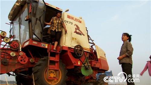 致富经：麦田霸王花（20170626）