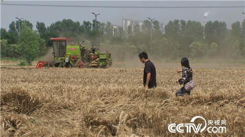 致富经：为何医生变身麦客 一年多收3000万 6月29日