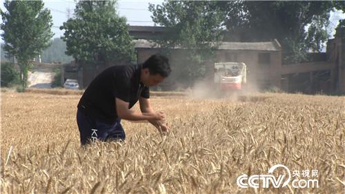 致富经：为何医生变身麦客 一年多收3000万 6月29日