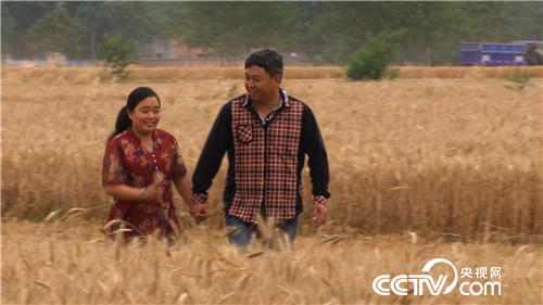 致富经：为爱奔麦田，追夫也赚钱(20170629)
