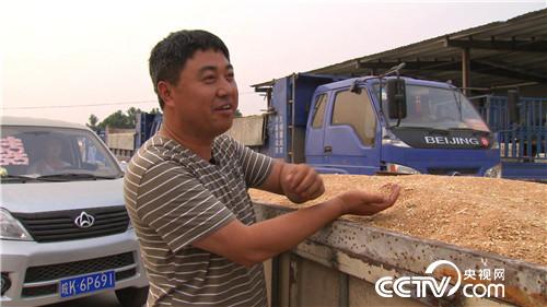 致富经：为爱奔麦田，追夫也赚钱(20170629)