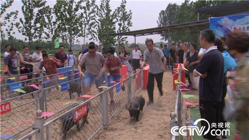 致富经：老爹的特别爱好 让儿子狂卖6000万(20170703)