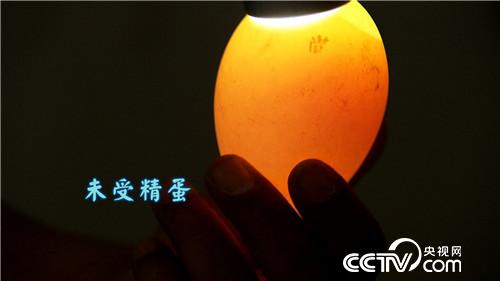 致富经：带着漂亮媳妇回家啃老的背后(20170711)