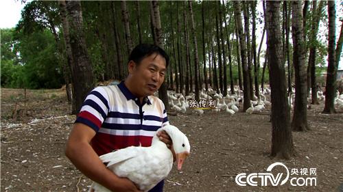 致富经：带着漂亮媳妇回家啃老的背后(20170711)