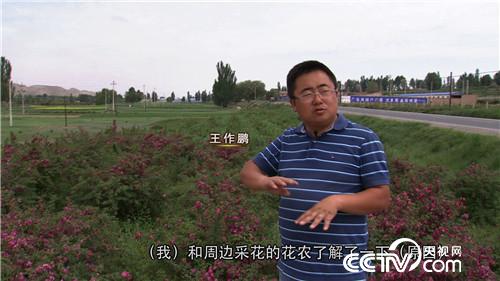 致富经：老爸给的500万不买房 偏要花花世界(20170712)