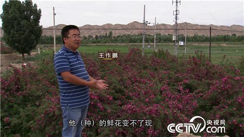 致富经：老爸给的500万不买房 偏要花花世界(20170712)