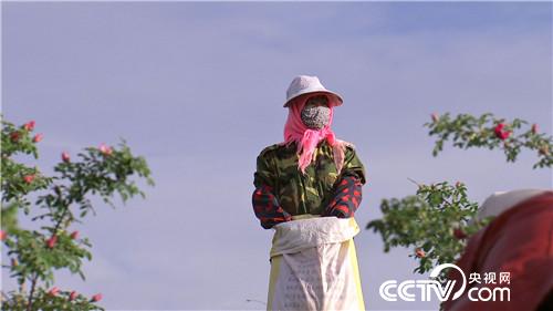 致富经：老爸给的500万不买房 偏要花花世界(20170712)