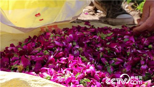 致富经：老爸给的500万不买房 偏要花花世界(20170712)