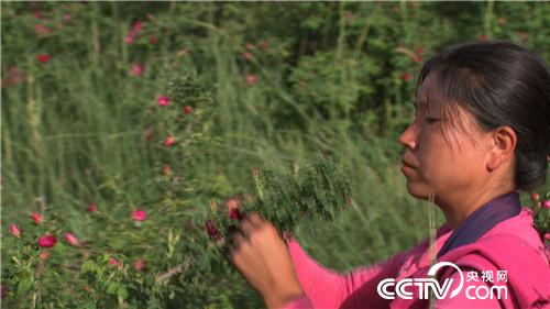 致富经：老爸给的500万不买房 偏要花花世界(20170712)