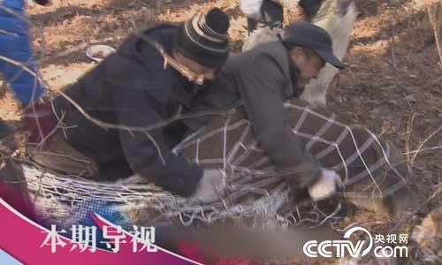 食尚大转盘：八方奇材创意烧 7月16日