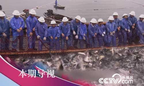 食尚大转盘：八方奇材创意烧 7月16日