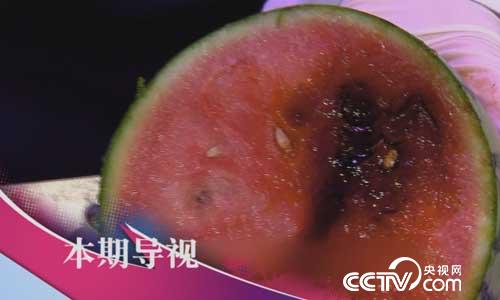 食尚大转盘：八方奇材创意烧 7月16日