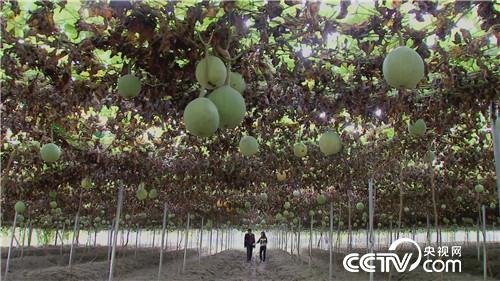 致富经：垃圾佬和女老板的财富狂想(20170714)