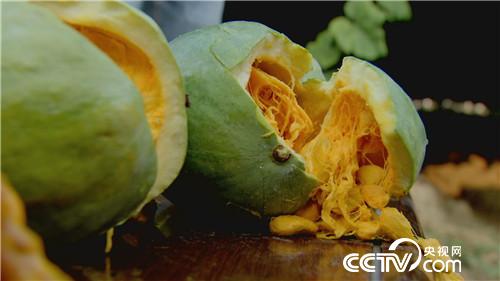 致富经：垃圾佬和女老板的财富狂想(20170714)