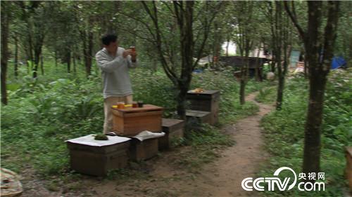 致富经：悬崖峭壁上的危险财富(20170809)