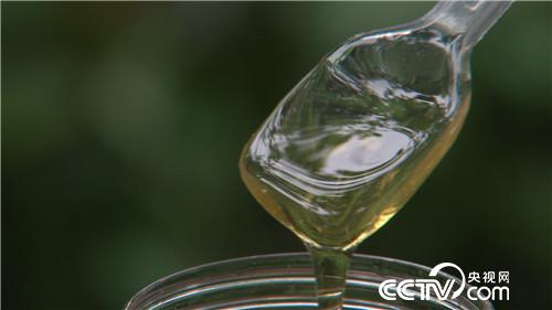 致富经：悬崖峭壁上的危险财富(20170809)