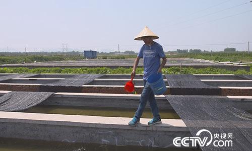 [绿色时空]水中有&ldquo;蛭&rdquo;求财有道 8月20日