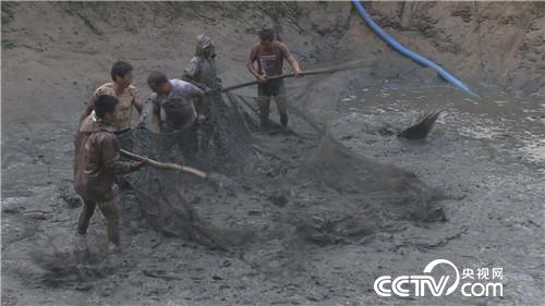 致富经：被嘲笑的男人水里捞金(20170818)