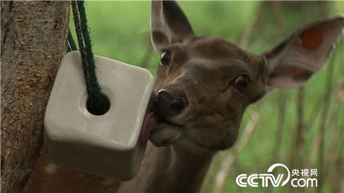 致富经：借八万赚百万 厚道汉子的生意经(20170822)