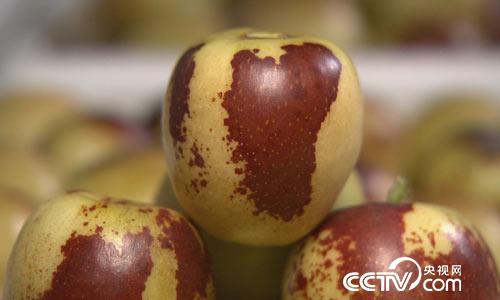 [绿色时空]鲜吃冬枣 提&ldquo;钱&rdquo;上市 9月3日