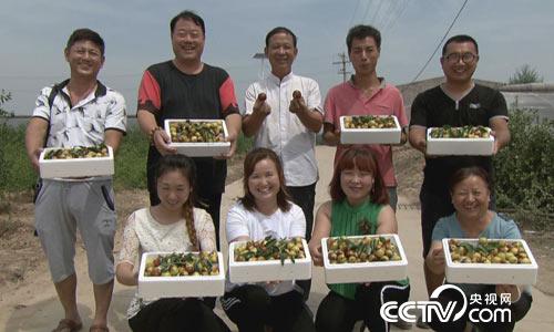 [绿色时空]鲜吃冬枣 提&ldquo;钱&rdquo;上市 9月3日