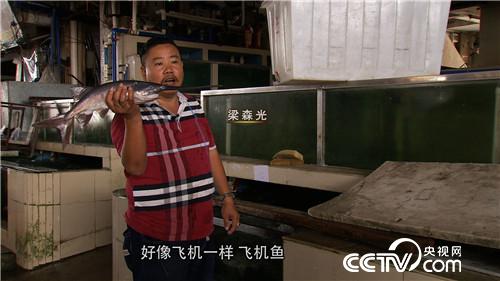 致富经：娶个这样的媳妇 想不富都不行(20170831)