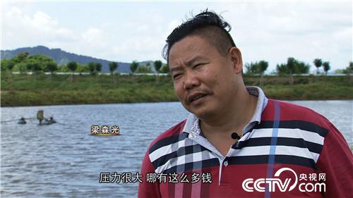 致富经：娶个这样的媳妇 想不富都不行(20170831)