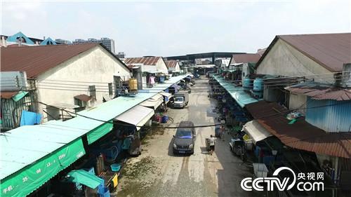 致富经：娶个这样的媳妇 想不富都不行(20170831)